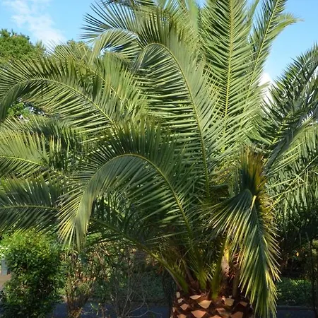 Villa Uhaina